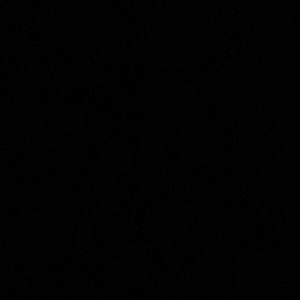 Meet your Posher, Karla